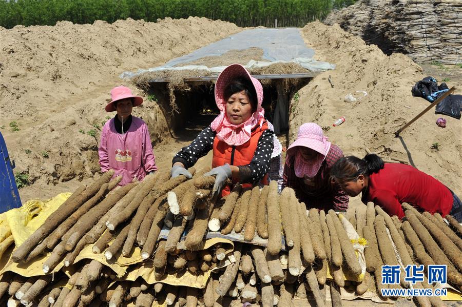 （在習(xí)近平新時(shí)代中國特色社會主義思想指引下——新時(shí)代新作為新篇章·圖文互動）（4）中條山下綠意濃——一個(gè)“資源窮縣”的生態(tài)發(fā)展之路