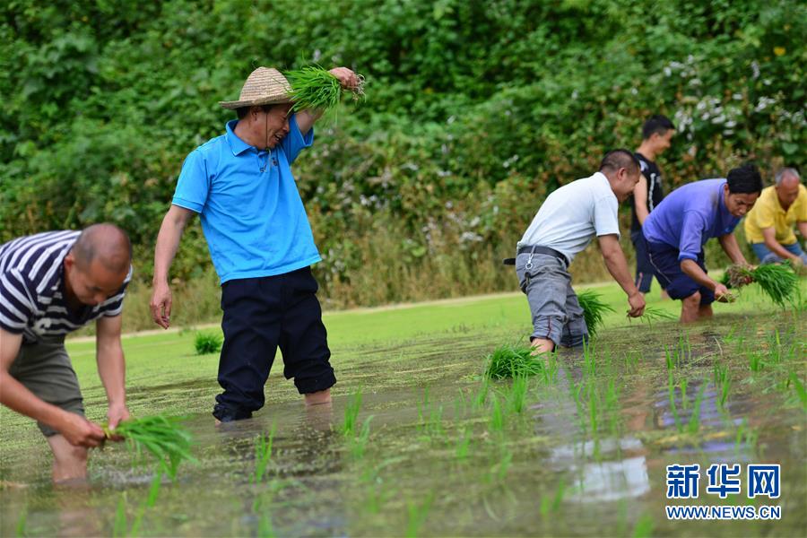 （新華全媒頭條·圖文互動）（8）干部去哪兒了？——貴州干部大規(guī)模下沉脫貧攻堅一線紀實