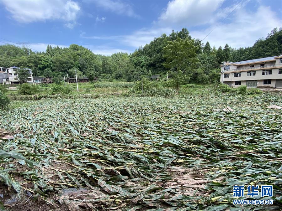 （防汛抗洪·圖文互動）（4）山洪襲來前，澧水河畔大轉(zhuǎn)移