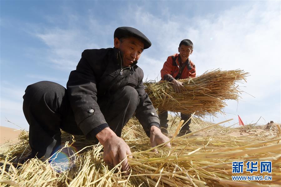 （在習(xí)近平新時(shí)代中國(guó)特色社會(huì)主義思想指引下——新時(shí)代新作為新篇章·習(xí)近平總書記關(guān)切事·圖文互動(dòng)）（5）綠色映底蘊(yùn)，山水見初心——生態(tài)優(yōu)先、綠色發(fā)展持續(xù)造福群眾美好生活