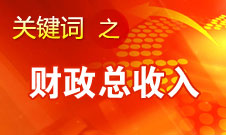 張平：今年財(cái)政總收入估計(jì)超過11萬億