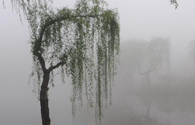 中國(guó)多地遭遇大霧天氣