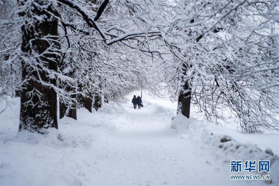 （國際）（1）雪中莊園